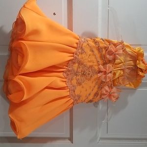 Little Rosie Paagent dress